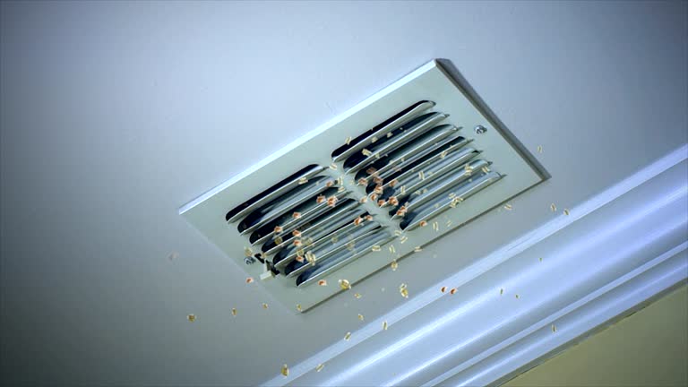 Best Ductwork Cleaning Services  in Ahoskie, NC