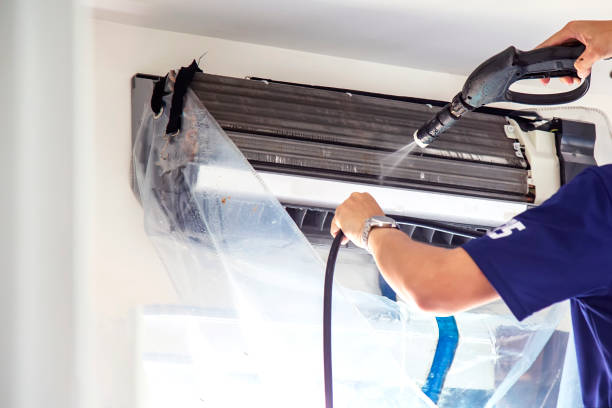 Best Air Duct Mold Removal  in Ahoskie, NC