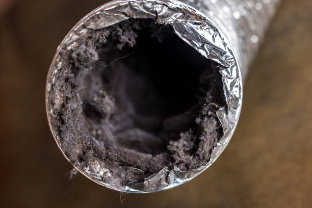 Best Affordable Duct Cleaning Services  in Ahoskie, NC